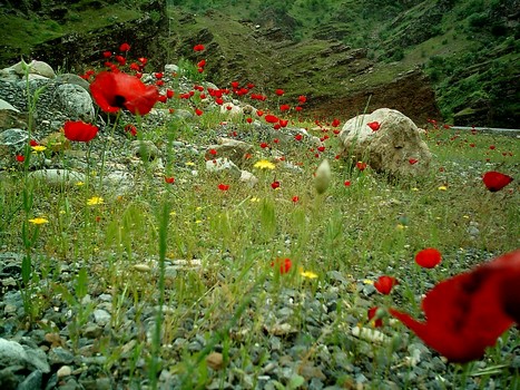 Çukurca'dan Doyumsuz Manzaralar