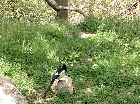 Çukurca'dan Doyumsuz Manzaralar