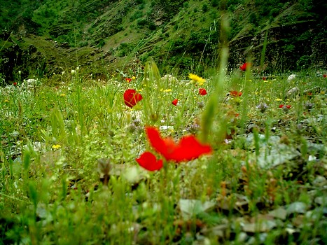 Çukurca'dan Doyumsuz Manzaralar
