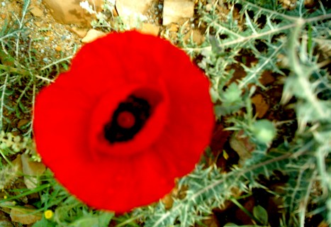 Çukurca'dan Doyumsuz Manzaralar