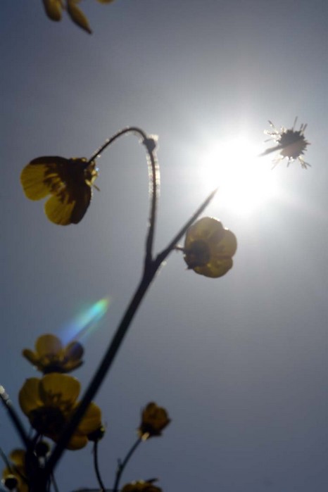 Şemdinli'den Doyumsuz Görüntüler Fotoğraflar : Avdi Tekin