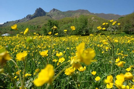 Şemdinli'den Doyumsuz Görüntüler Fotoğraflar : Avdi Tekin