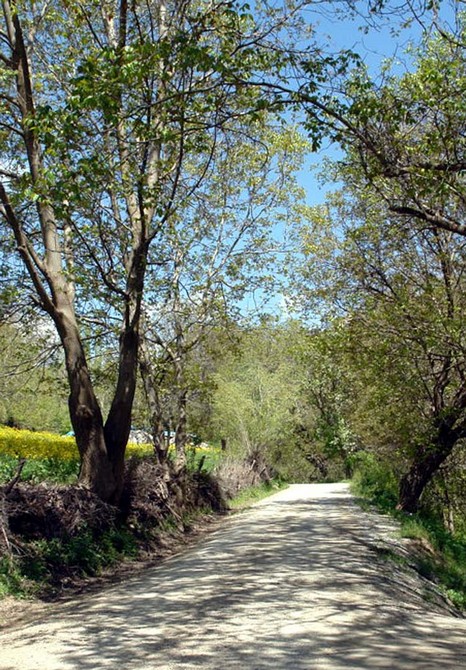 Şemdinli'den Doyumsuz Görüntüler Fotoğraflar : Avdi Tekin