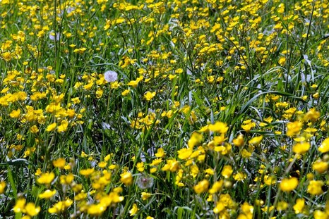 Şemdinli'den Doyumsuz Görüntüler Fotoğraflar : Avdi Tekin