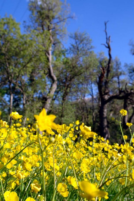 Şemdinli'den Doyumsuz Görüntüler Fotoğraflar : Avdi Tekin