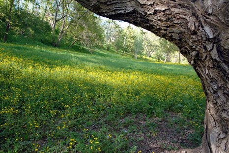 Şemdinli'den Doyumsuz Görüntüler Fotoğraflar : Avdi Tekin