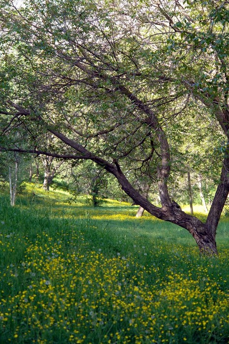 Şemdinli'den Doyumsuz Görüntüler Fotoğraflar : Avdi Tekin