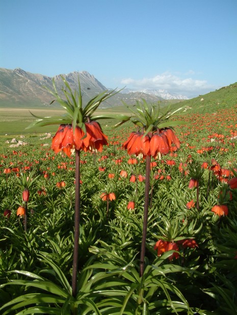 Erkan Çobanoğlu'nun Objektifinden 