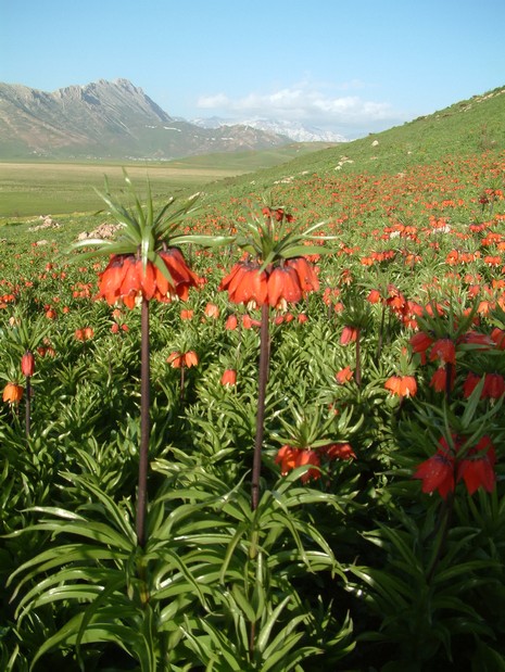 Erkan Çobanoğlu'nun Objektifinden 
