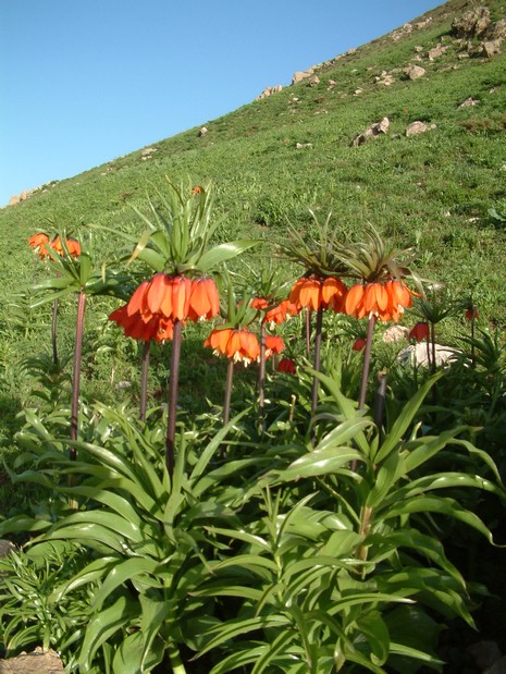 Erkan Çobanoğlu'nun Objektifinden 
