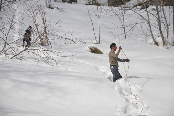 Fotoğraflar: Yaşar KAPLAN