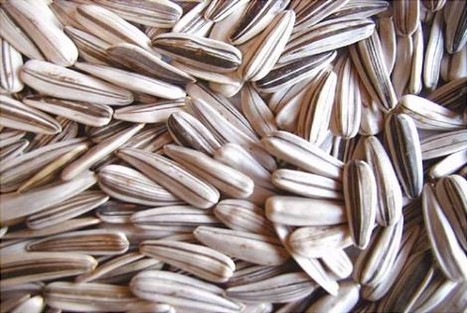 Geleneksel sofraların vazgeçilmezi kuruyemiş sadece tadıyla değil sağlığımıza faydalarıyla da dikkat çekiyor. 
