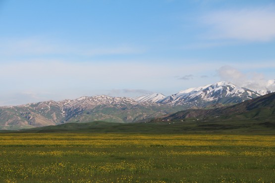 FOTO : Cahit YİĞİT
