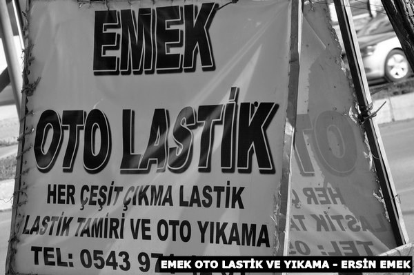 Em bi hatina wê cejnê ve di nava hêviyên sekinandina xwîna ku niha li Kobaniya berxwedêr, Şengala pîroz, Filîstina sêvî, Musila qedîm, ango di tewahiya Rojhilata Navîn de diherike bi hatina wê cejnê ve, bi bawerî û hêviyên xwe ve wê rojên azad û aram li tewahiya Îslamiyetê û mirovahiyê pîroz dikin.