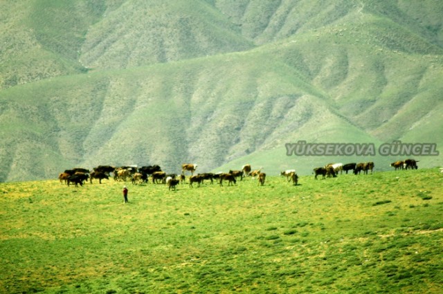 FOTOĞRAF; Ümit BARTIN