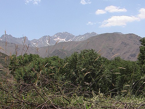 Erkan Çobanoğlu'nun Objektifinden 