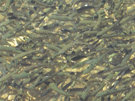 Erkan Çobanoğlu'nun Objektifinden 