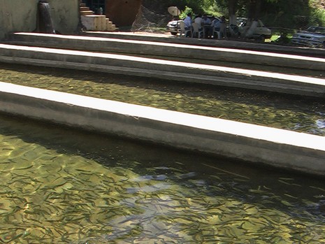 Erkan Çobanoğlu'nun Objektifinden 