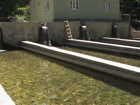 Erkan Çobanoğlu'nun Objektifinden 