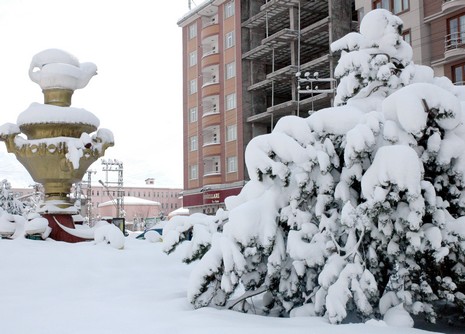 Van'da etkisini gösteren kar yağışı hayatı felç etti.