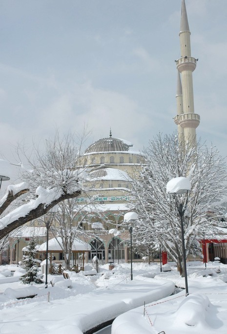 Van'da etkisini gösteren kar yağışı hayatı felç etti.