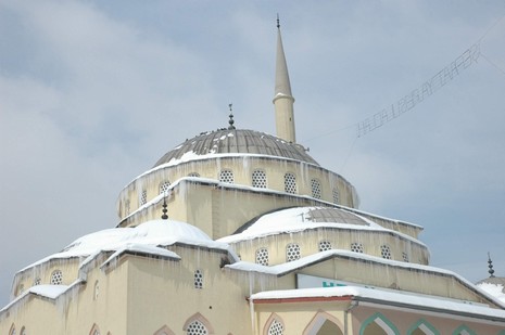 Van'da etkisini gösteren kar yağışı hayatı felç etti.