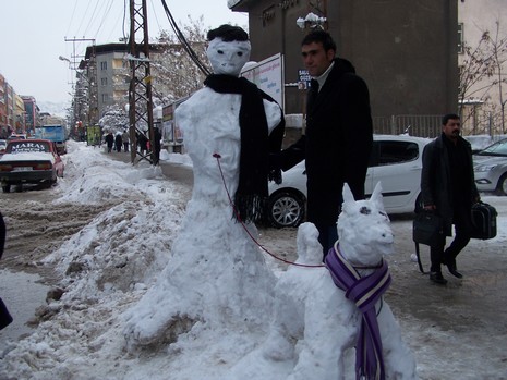 Van'da etkisini gösteren kar yağışı hayatı felç etti.