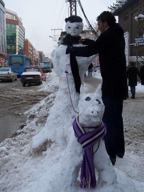 Van'da etkisini gösteren kar yağışı hayatı felç etti.