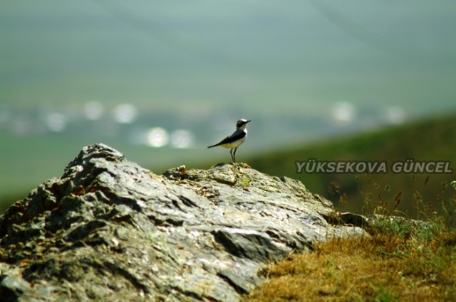 FOTOĞRAF; Ümit BARTIN