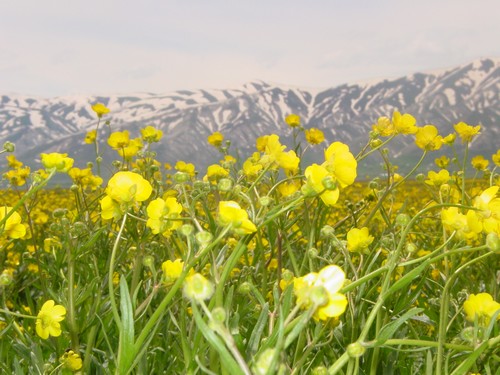 Yüksekova Ovasından Doyumsuz Manzaralar