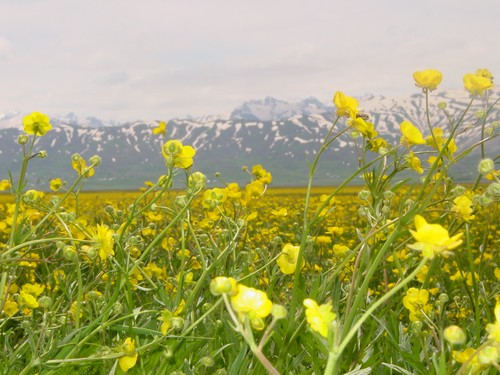 Yüksekova Ovasından Doyumsuz Manzaralar