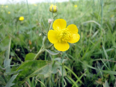 Yüksekova'da Doyumsuz Manzaralar Yaşar Kaplan'nın objektiflerine yansıyan 