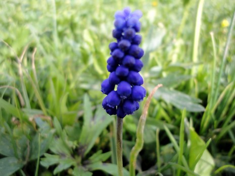 Yüksekova'da Doyumsuz Manzaralar Yaşar Kaplan'nın objektiflerine yansıyan 