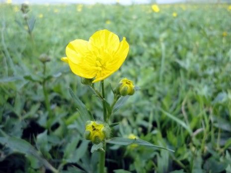 Yüksekova'da Doyumsuz Manzaralar Yaşar Kaplan'nın objektiflerine yansıyan 
