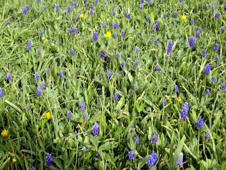 Yüksekova'da Doyumsuz Manzaralar Yaşar Kaplan'nın objektiflerine yansıyan 