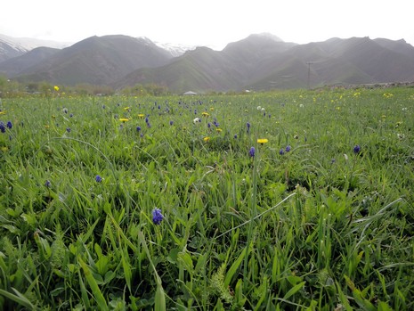 Yüksekova'da Doyumsuz Manzaralar Yaşar Kaplan'nın objektiflerine yansıyan 