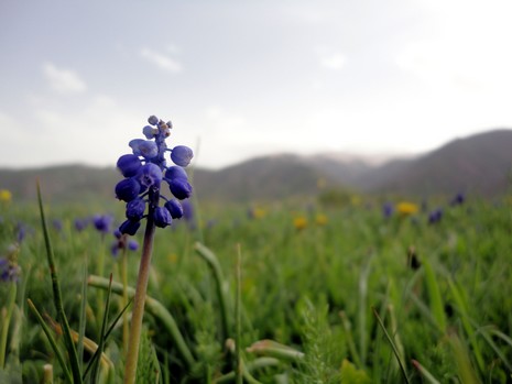 Yüksekova'da Doyumsuz Manzaralar Yaşar Kaplan'nın objektiflerine yansıyan 