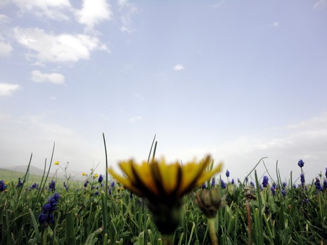 Yüksekova'da Doyumsuz Manzaralar Yaşar Kaplan'nın objektiflerine yansıyan 