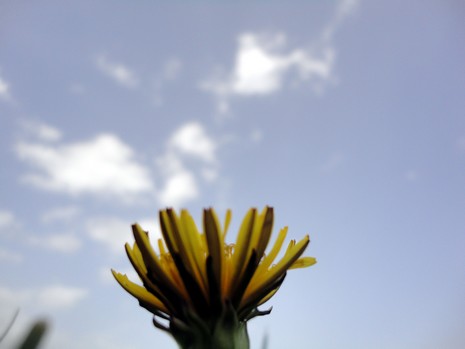 Yüksekova'da Doyumsuz Manzaralar Yaşar Kaplan'nın objektiflerine yansıyan 