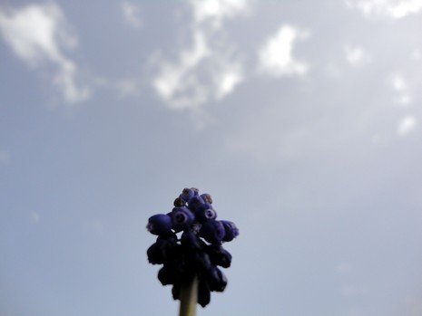 Yüksekova'da Doyumsuz Manzaralar Yaşar Kaplan'nın objektiflerine yansıyan 