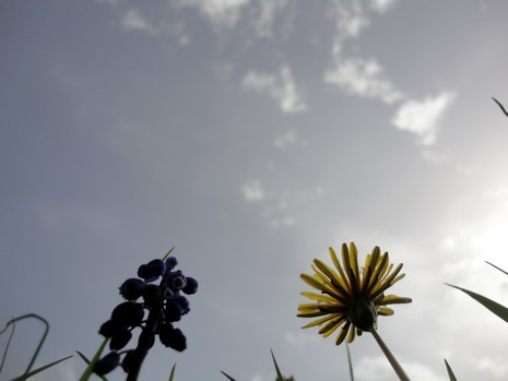 Yüksekova'da Doyumsuz Manzaralar Yaşar Kaplan'nın objektiflerine yansıyan 