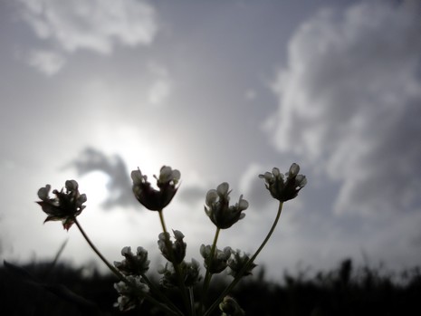 Yüksekova'da Doyumsuz Manzaralar Yaşar Kaplan'nın objektiflerine yansıyan 