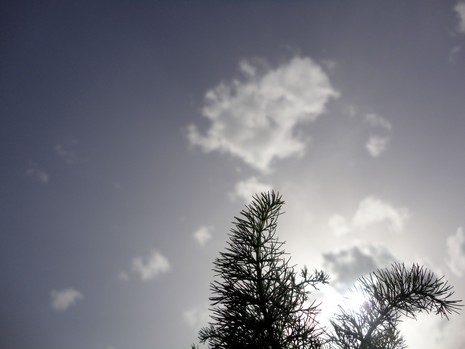 Yüksekova'da Doyumsuz Manzaralar Yaşar Kaplan'nın objektiflerine yansıyan 