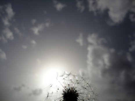 Yüksekova'da Doyumsuz Manzaralar Yaşar Kaplan'nın objektiflerine yansıyan 