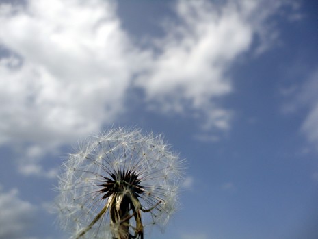Yüksekova'da Doyumsuz Manzaralar Yaşar Kaplan'nın objektiflerine yansıyan 
