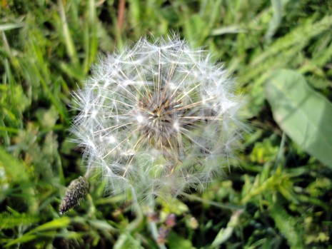 Yüksekova'da Doyumsuz Manzaralar Yaşar Kaplan'nın objektiflerine yansıyan 