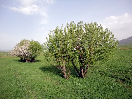 Yüksekova'da Doyumsuz Manzaralar Yaşar Kaplan'nın objektiflerine yansıyan 