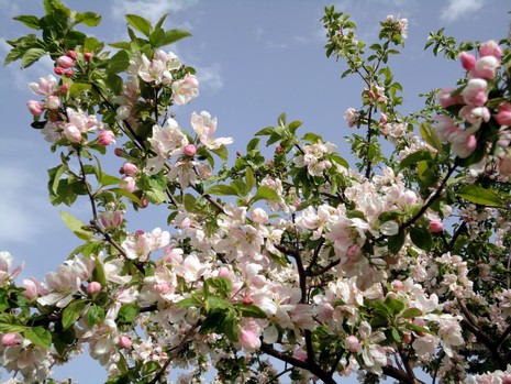 Yüksekova'da Doyumsuz Manzaralar Yaşar Kaplan'nın objektiflerine yansıyan 