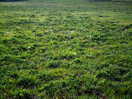 Yüksekova'da Doyumsuz Manzaralar Yaşar Kaplan'nın objektiflerine yansıyan 