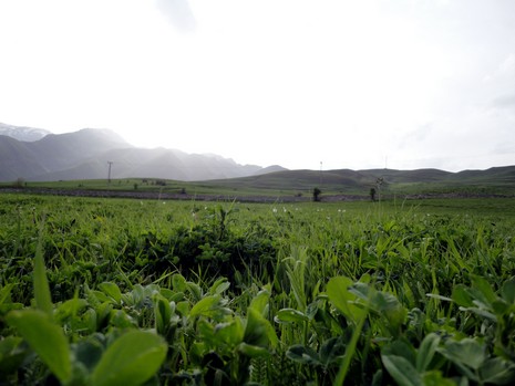 Yüksekova'da Doyumsuz Manzaralar Yaşar Kaplan'nın objektiflerine yansıyan 